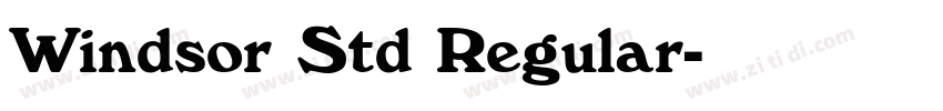 Windsor Std Regular字体转换